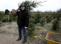 adopte ton sapin de no�_l