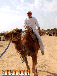 David � dromadaire dans le dessert du sud tunisien